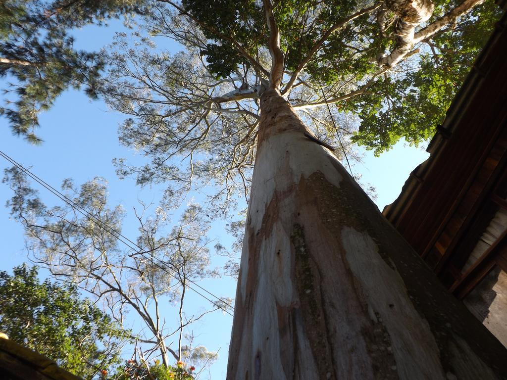 Pousada Quintal Das Pedras Penedo  Esterno foto